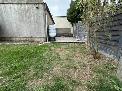 Picture 13